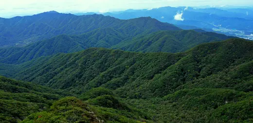 치악산 비로봉에서 바라본 겹겹의 능선