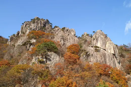 대둔산 숲 위로 솟은 암봉