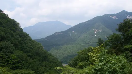 가지산 초록 능선이 겹쳐진 산줄기