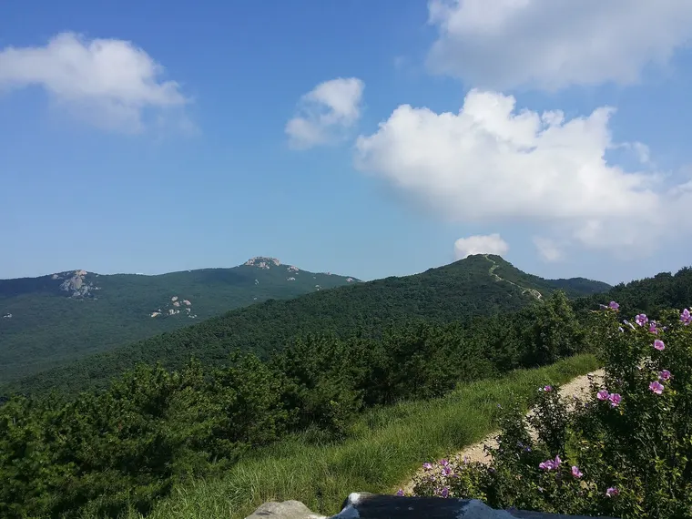 금정산 초록 능선과 바위 봉우리