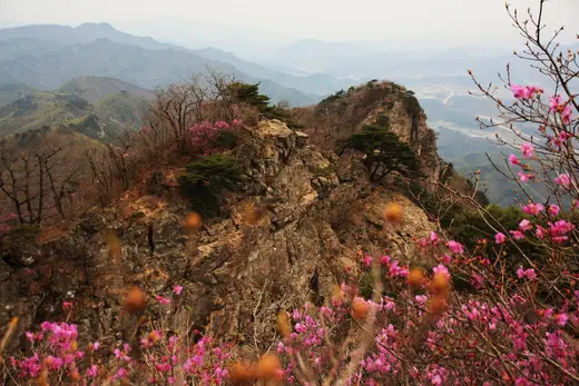 구병산 진달래 사이로 솟은 거친 암릉과 봉우리
