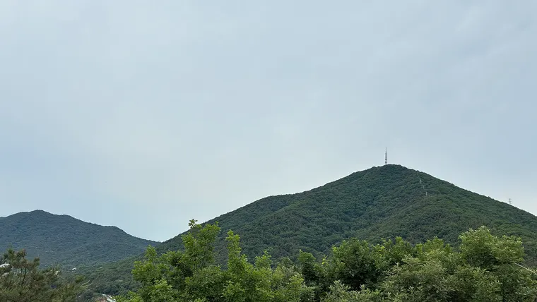 정상 송신탑이 보이는 계양산의 푸른 능선