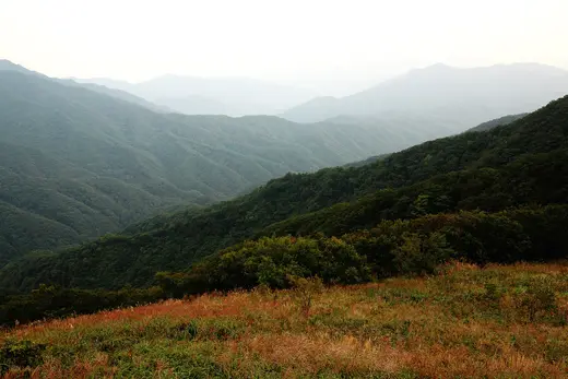 장안산 가을빛 초원과 산줄기