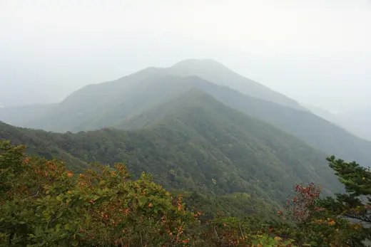 명지산 옅은 안개 사이로 겹쳐 보이는 능선과 가을 숲